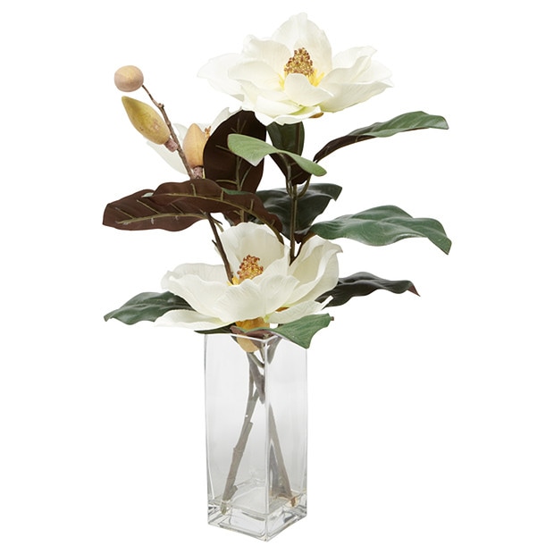 Magnolia In Glass Vase 58.5cm Magnolia In Glass Vase 58.5cm
