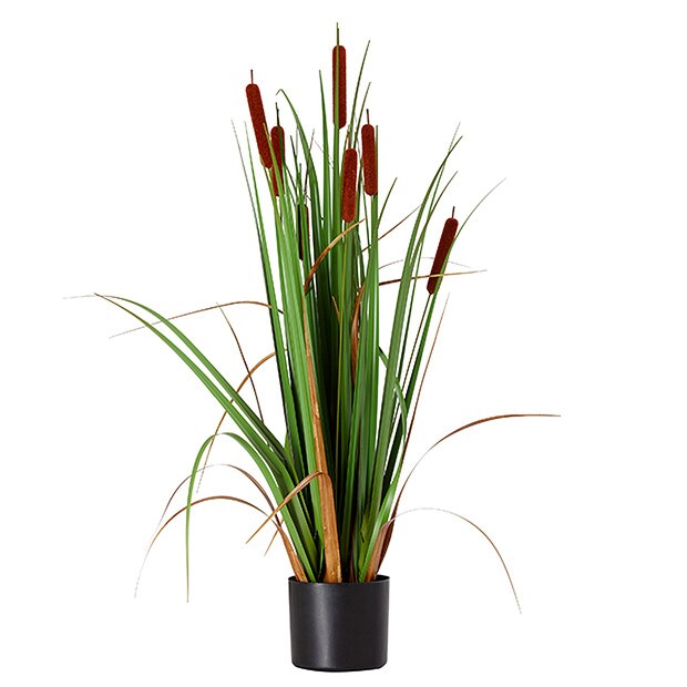 portray shelves black indoors design ideas apartment