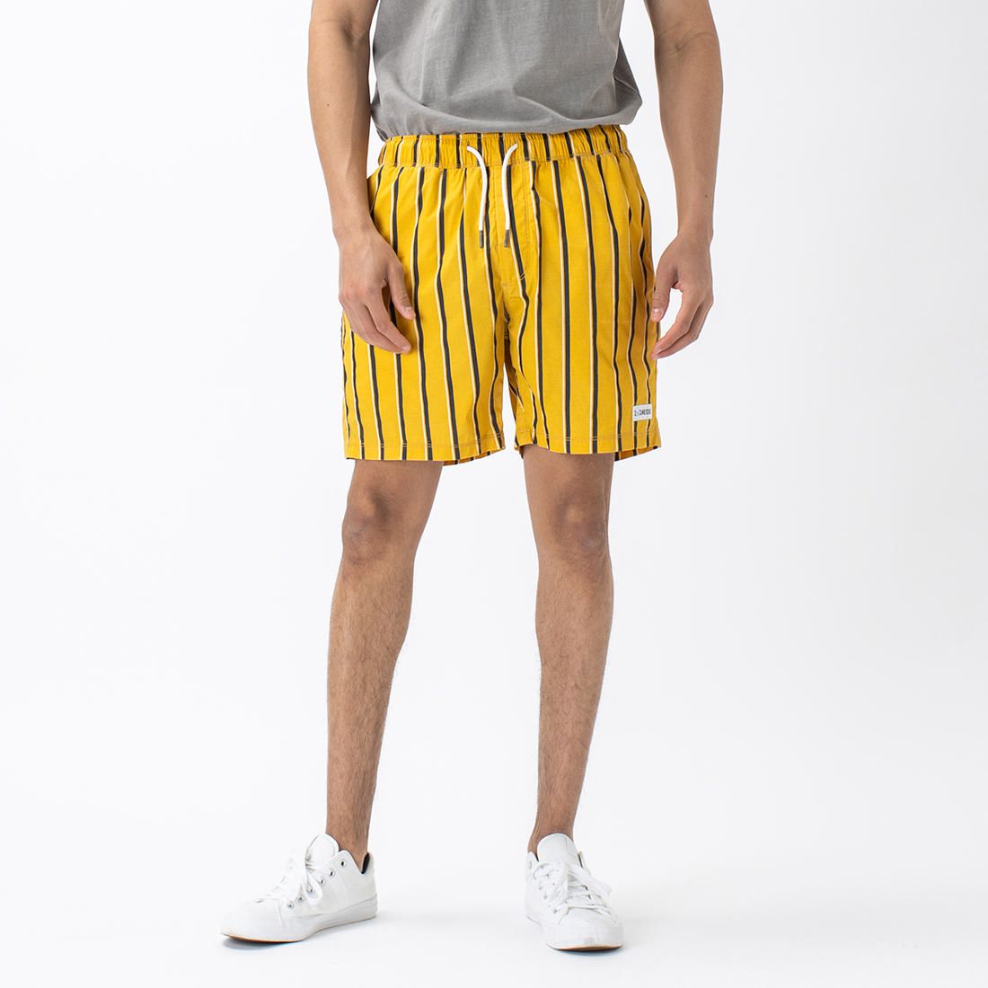 ZxZanerobe V-Stripe Volley Shorts 