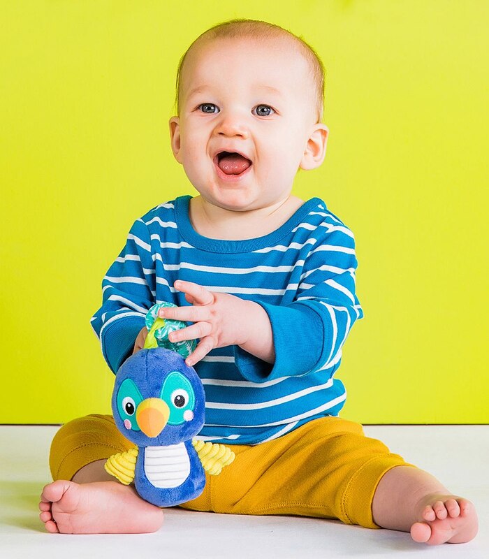 Bright Starts Take N Shake Take Along Toy Target Australia