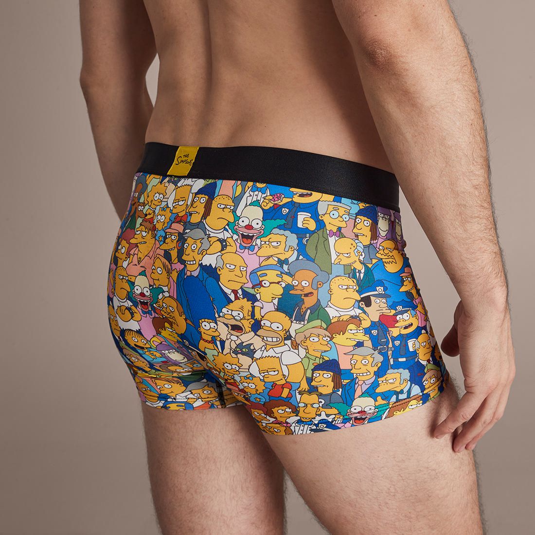 SWAG x The Simpsons Men’s Boxer Brief Size Medium Family Members 