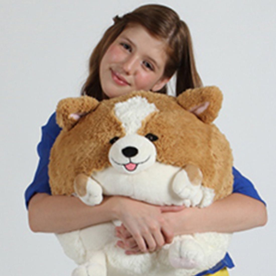 squishable corgi