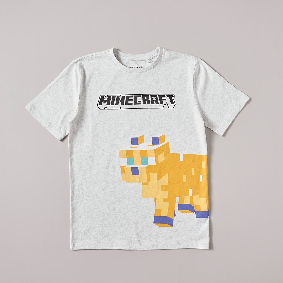 Minecraft T-shirt | Target Australia