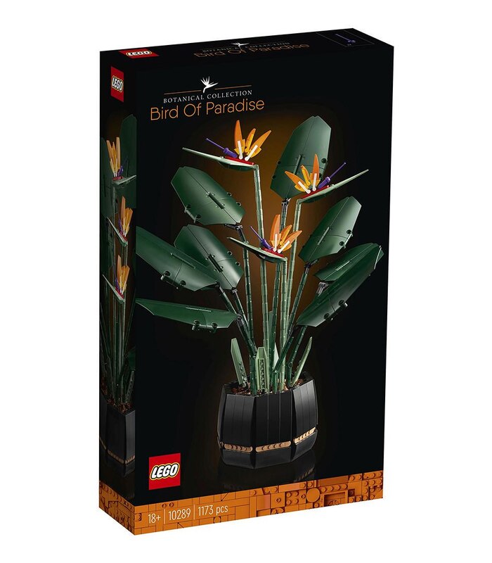 18+ Target Bonsai Tree