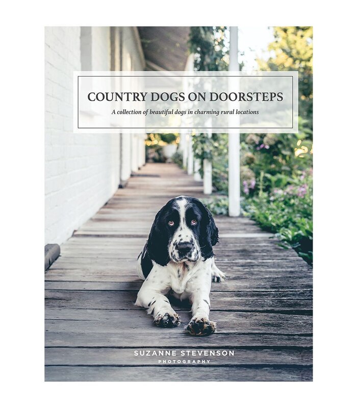 Country Dogs On Doorsteps Suzanne Stevenson Target Australia Country Dogs On Doorsteps Suzanne Stevenson Target Australia