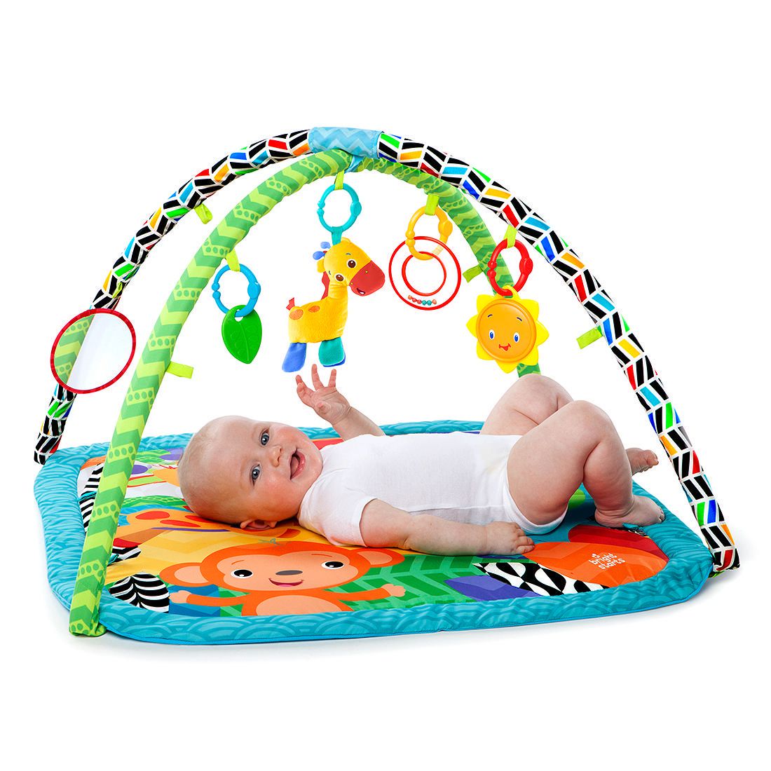 zippy zoo activity gym