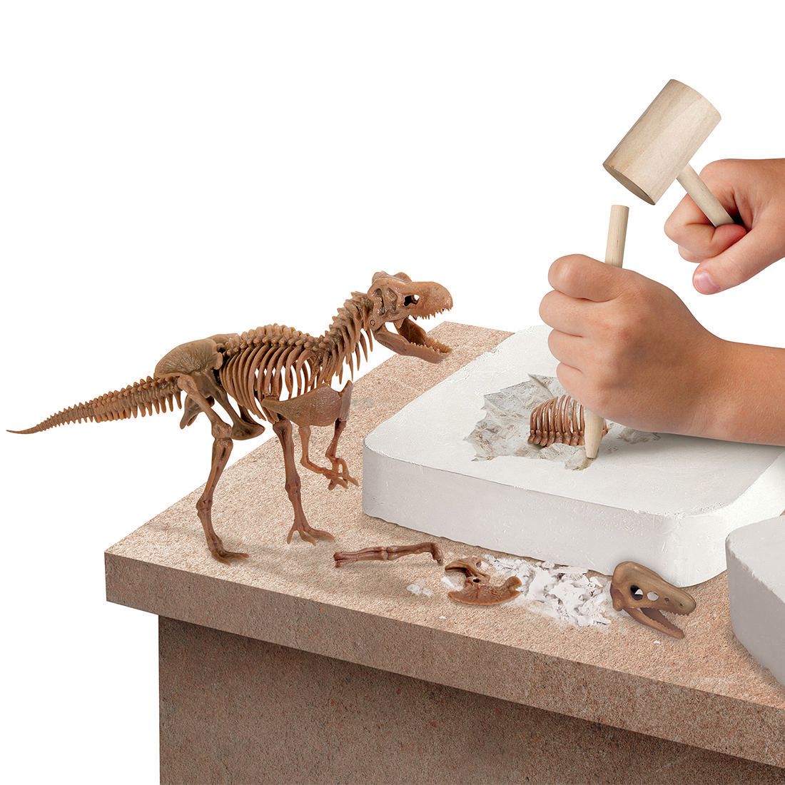 dinosaur toy skeleton fossil excavation