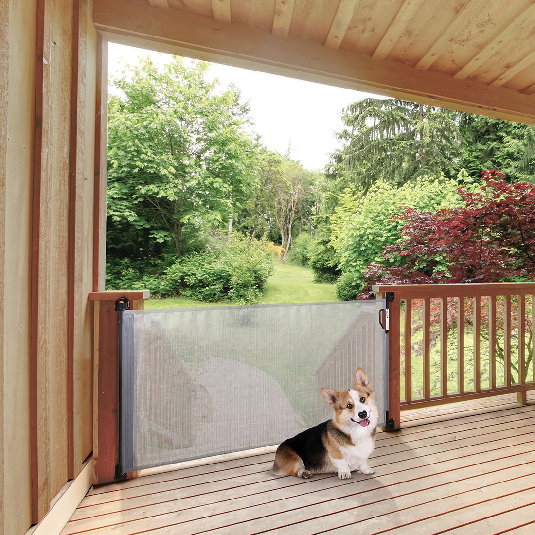 retractable pet gate australia