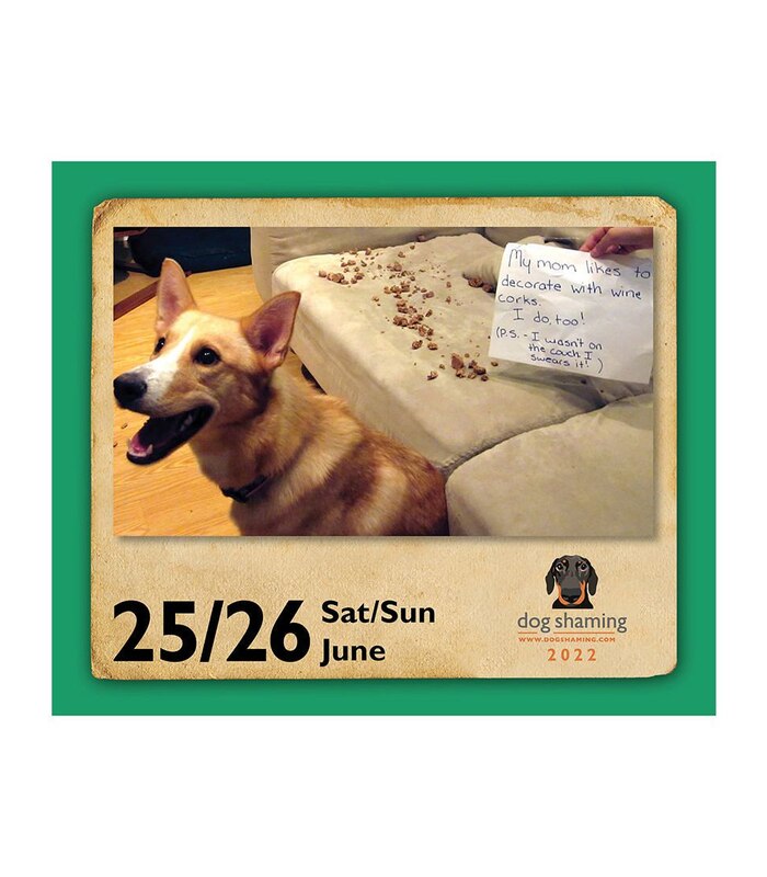 Dog Shaming 2022 Boxed Calendar | Target Australia