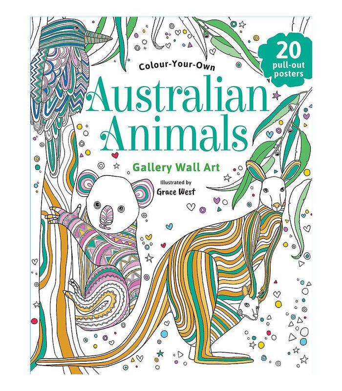 Download Colour Your Own Australian Animals Gallery Wall Art Target Australia