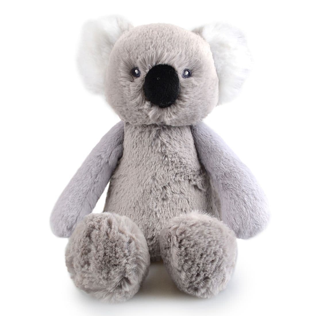 teddy koala