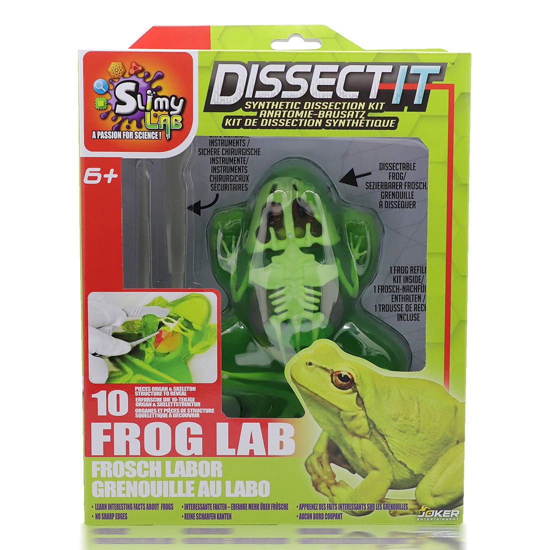 dissectable frog plush