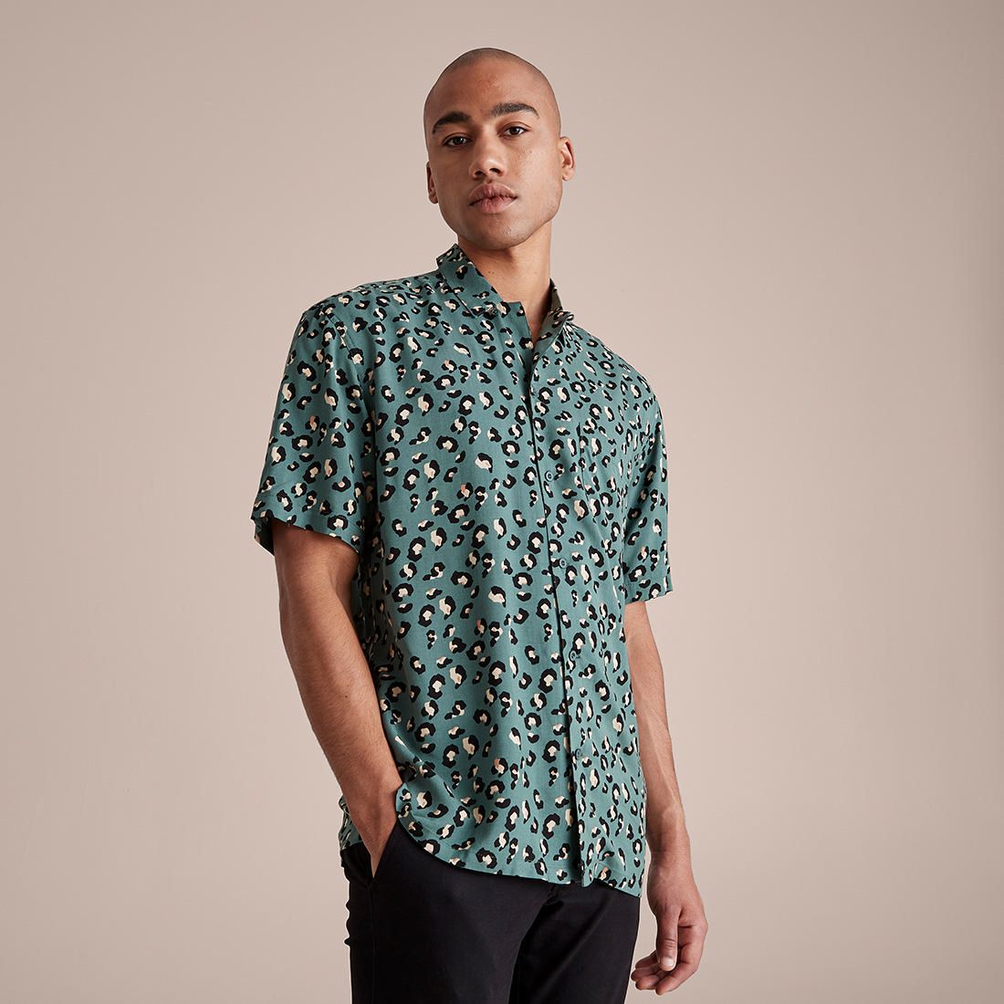 short sleeve leopard blouse