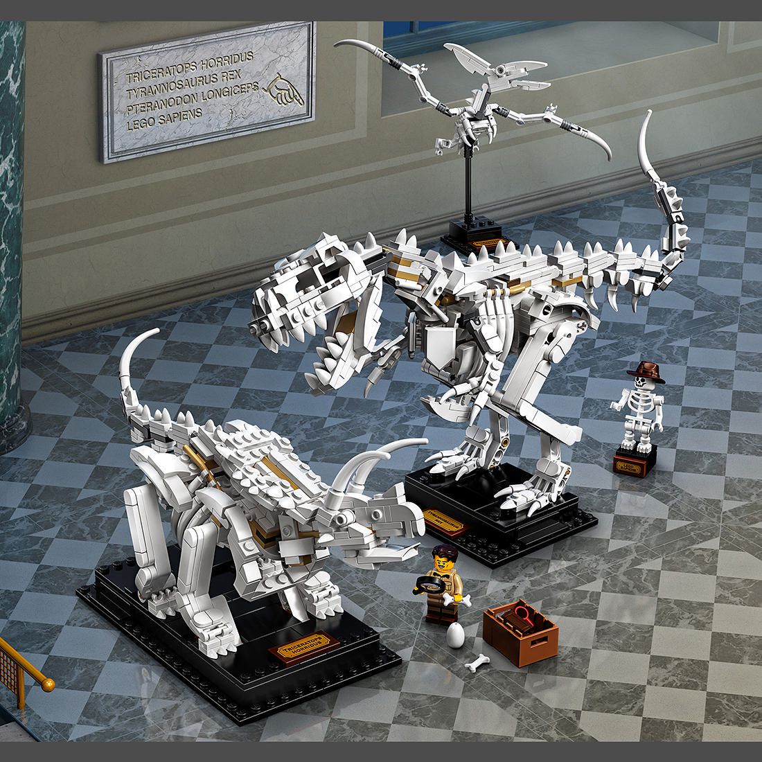 lego dinosaur fossils australia