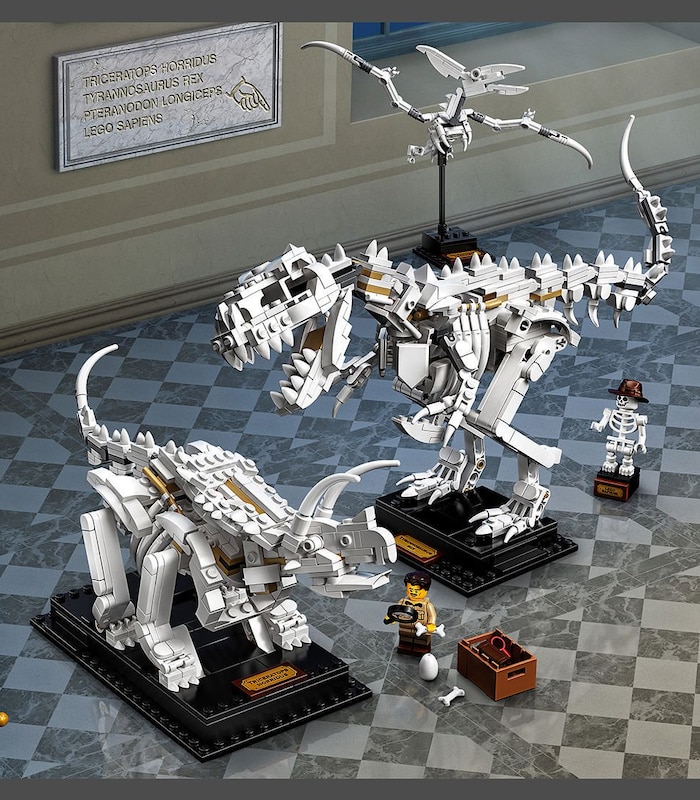 LEGO® Ideas Dinosaur Fossils 21320 | Target Australia