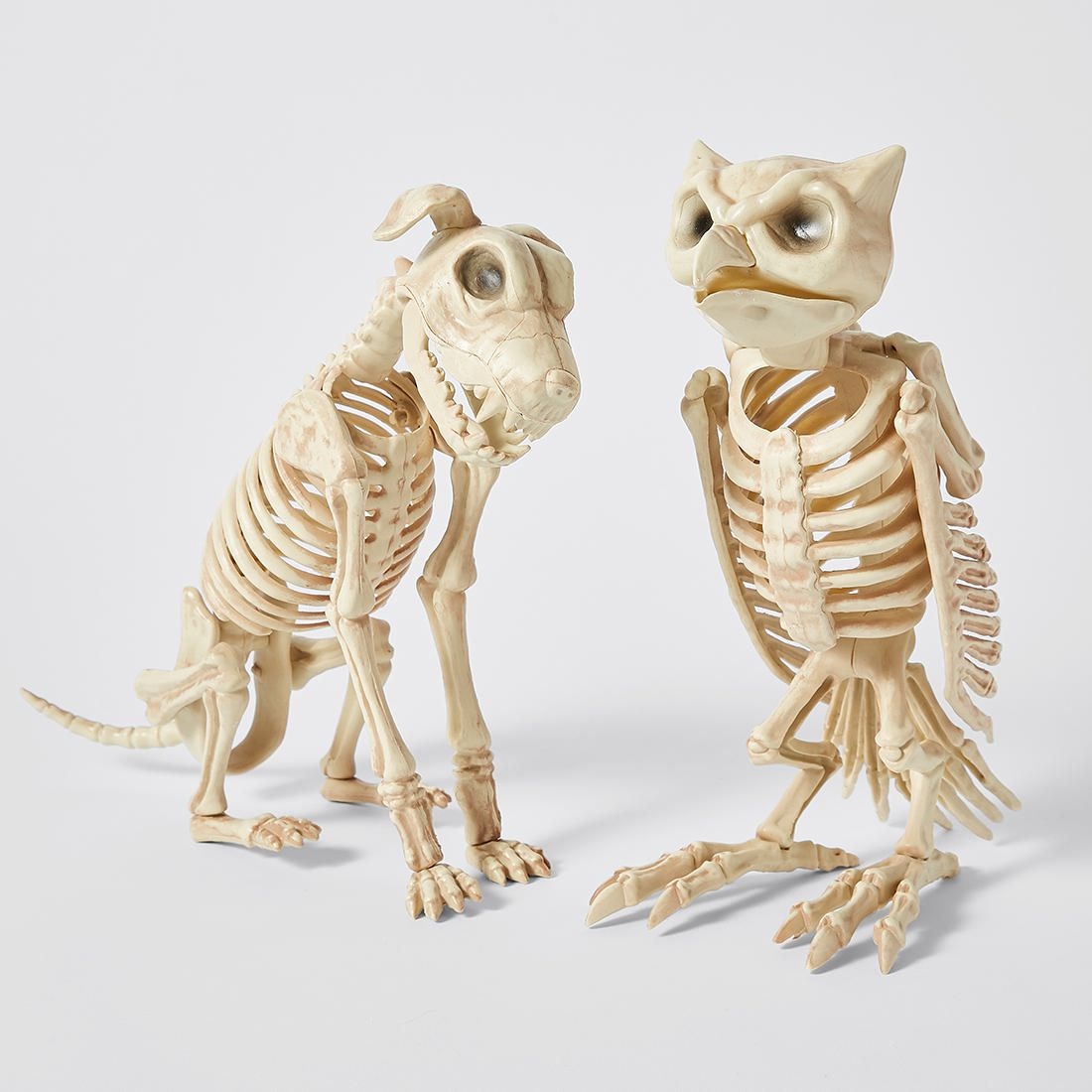 halloween spooky skeleton dog or owl bones assorted