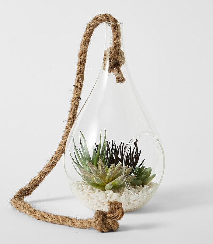 Hanging Glass Terrarium Australia Glass Designs