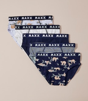 5 Pack Maxx Briefs
