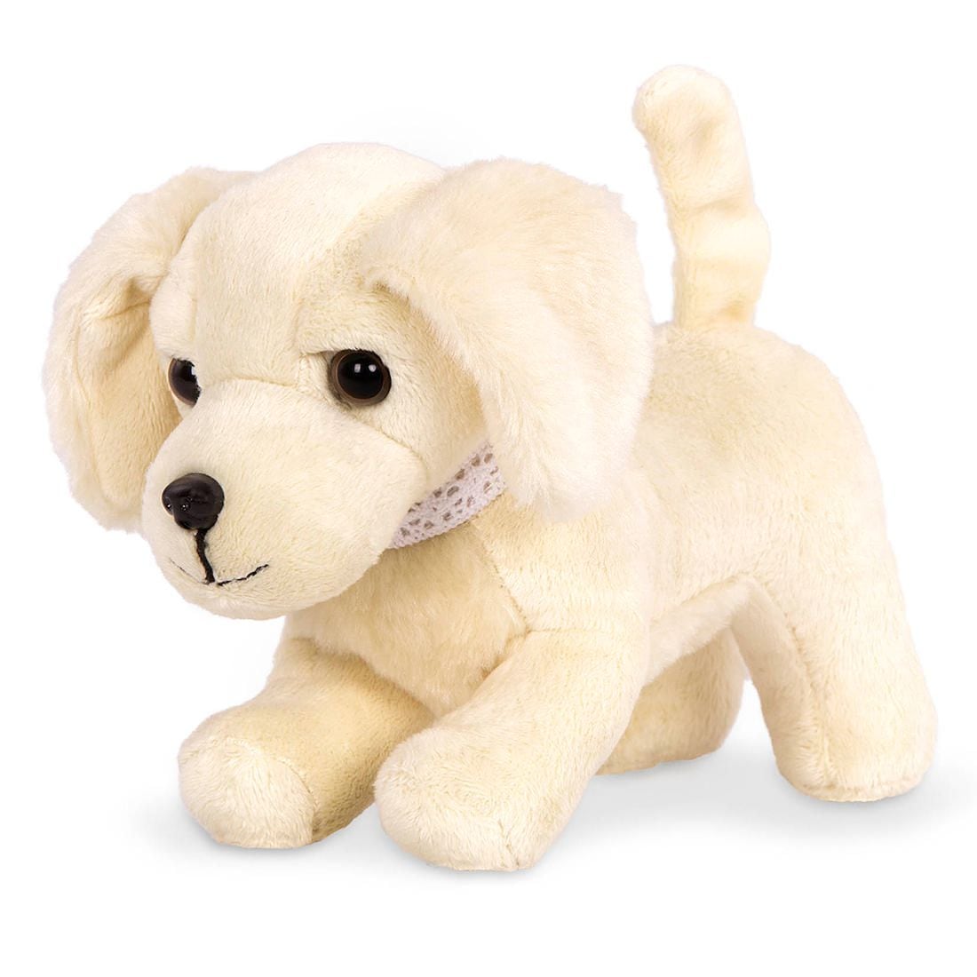 red tri toy australian shepherd