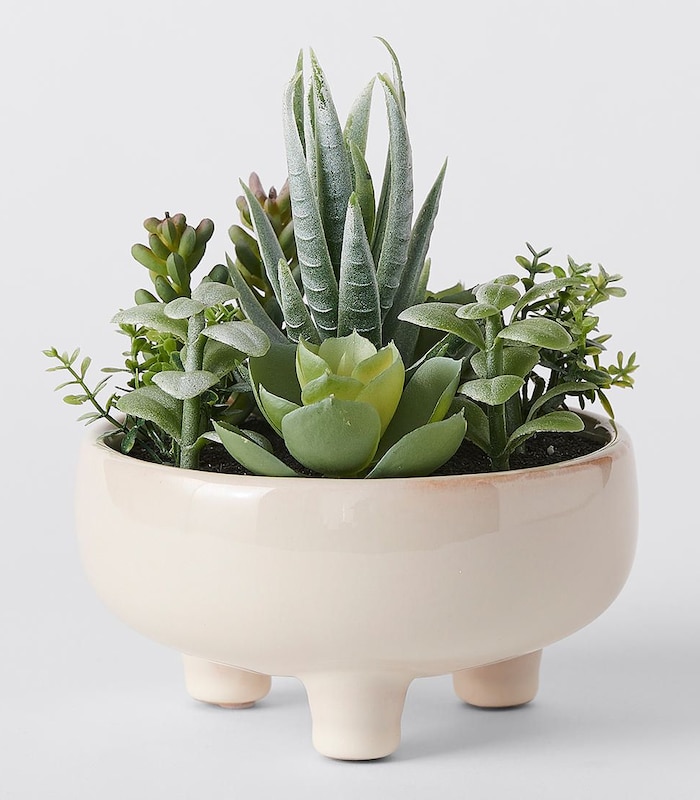 Faux Succulent Plants In White Pot Small Target Australia