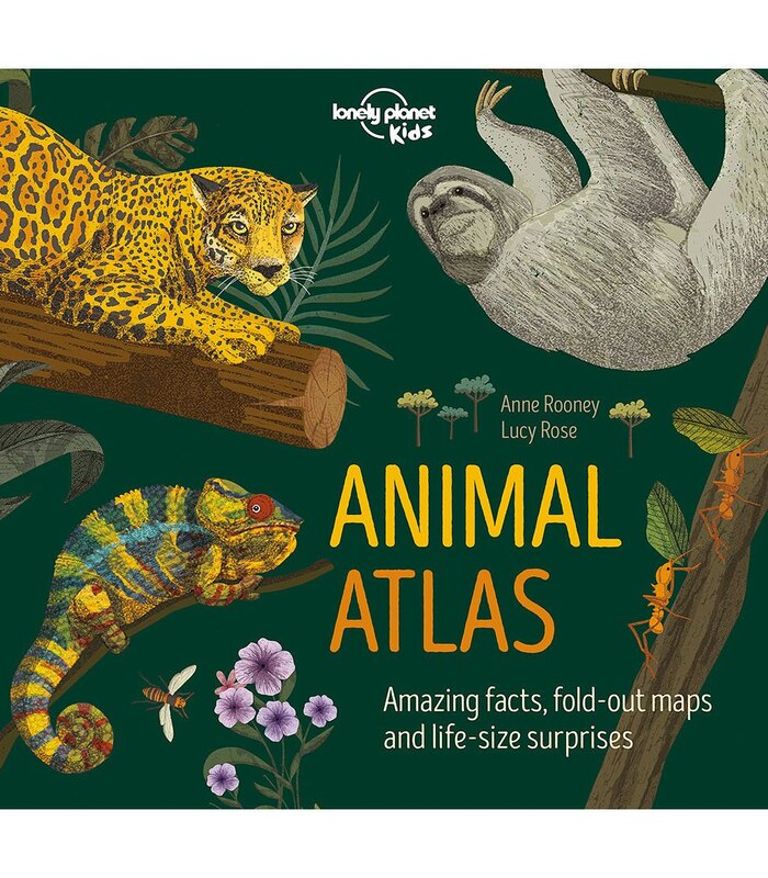 Animal Atlas - Anne Rooney & Lucy Rose | Target Australia Animal Atlas - Anne Rooney & Lucy Rose | Target Australia