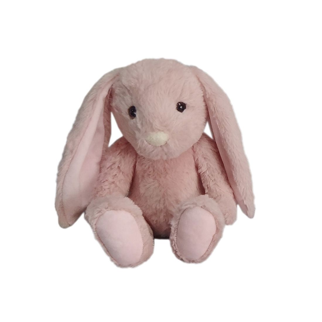 triumph dog biscuits