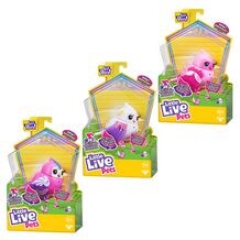little live pets butterfly target