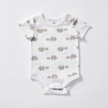 graco 4ever dlx zagg