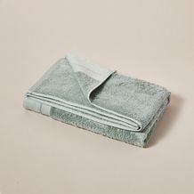 Eucalyptus