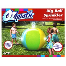 inflatable pool target