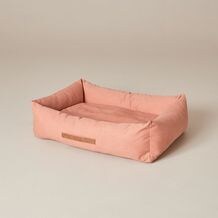 Clay