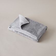 Alloy Silver