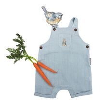 baby bjorn target australia