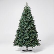 Christmas Trees Xmas Or In Target
