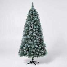 Christmas Trees Xmas Or In Target