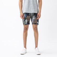zanerobe pants target
