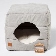 pet carrier target australia