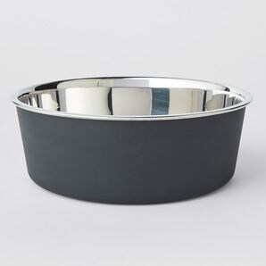 petrodex enzymatic toothpaste