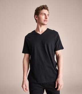 Organic Cotton V-Neck T-Shirt