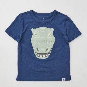dinosaur print flap t shirt target australia
