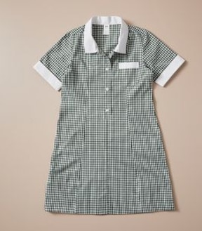 Gingham School Dress