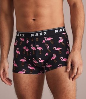 Maxx Flyfront Trunks