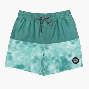 Slab Wordmark Tie Dye Swim Short main image 1