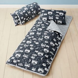 Best Sleeping Bag