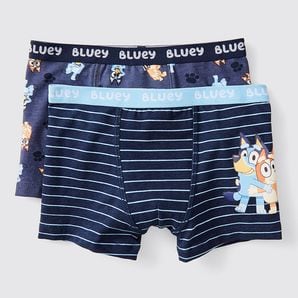 bluey underwear kmart