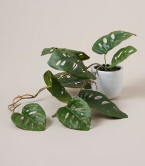 Faux Monstera Adansonii Plant in Ceramic Pot