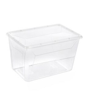 Ezy Storage 12.2L Karton Clear Shoe Storage Container