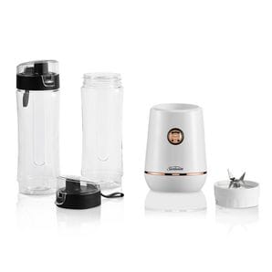 Sm9000 Sunbeam Platinum Stick Blender Sunbeam Stick Blender - Main Image