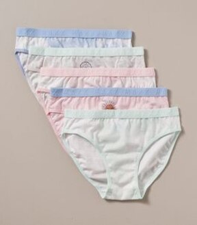 5 Pack Maxx Briefs