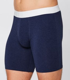 Maxx Long Leg Trunks